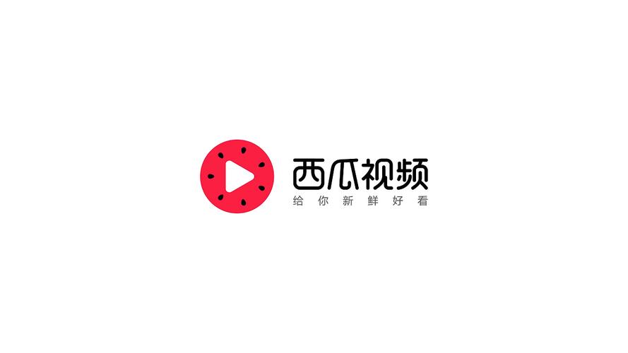 西瓜赚钱小视频截图