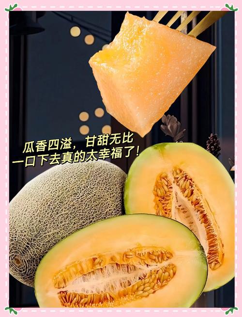 小蜜瓜
