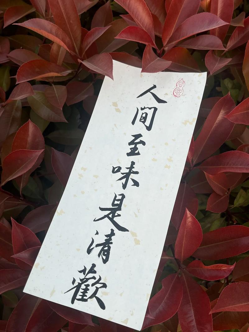 人间至味是清欢a