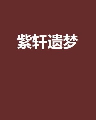 紫轩小说