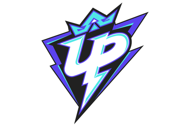 职业UP主