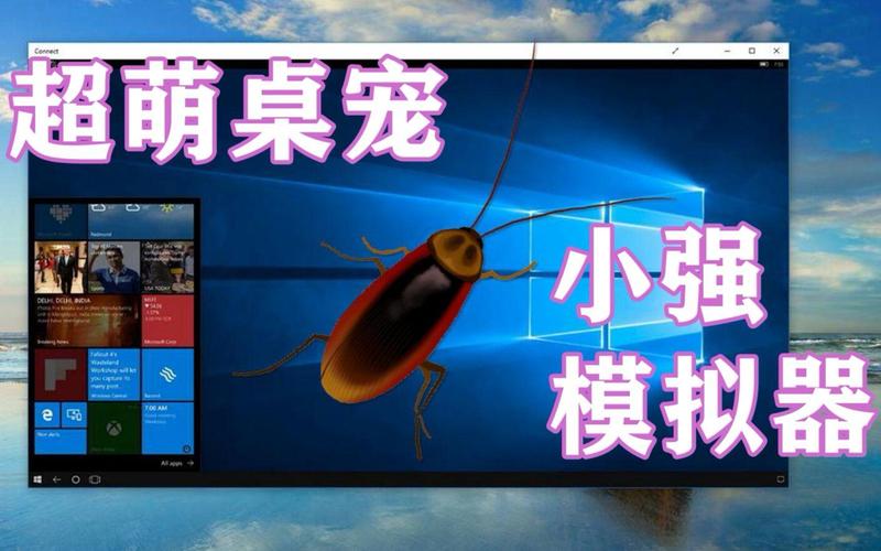 宠物小强模拟器
