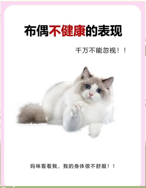 布偶免费小说v1