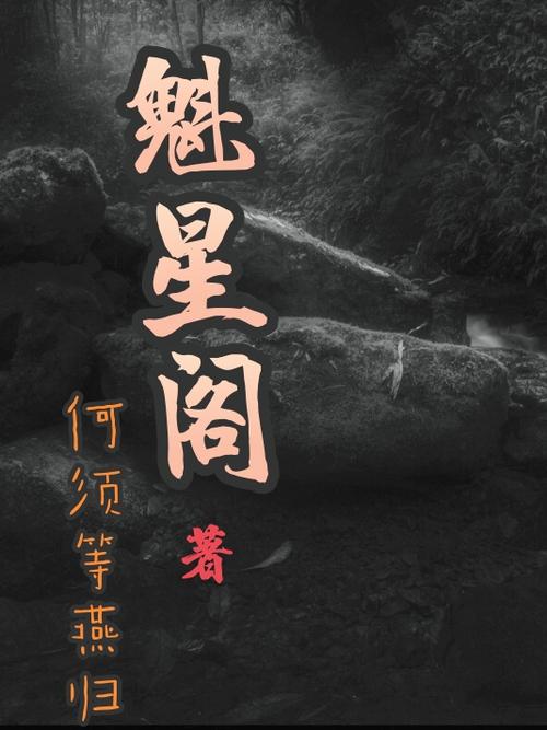 魁星阁小说免费阅