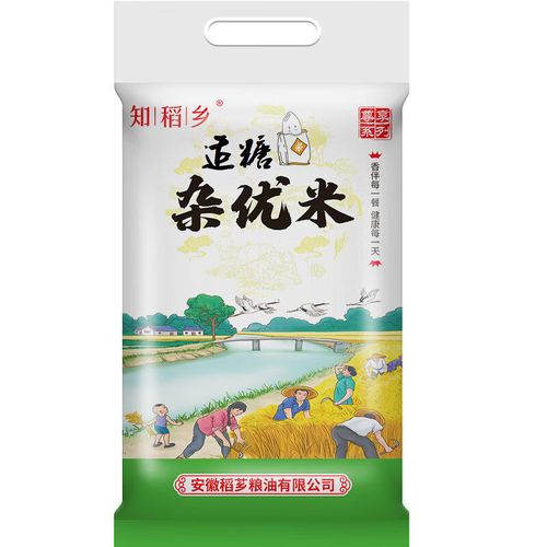 无米赚钱v10