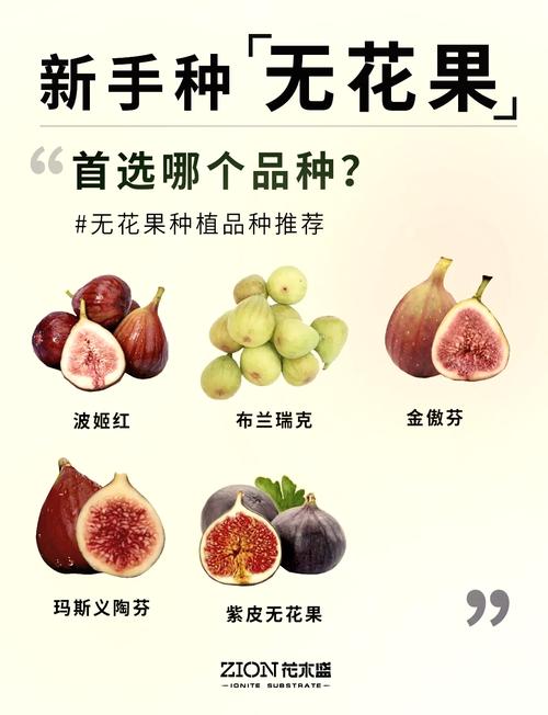 果树世界分红官网