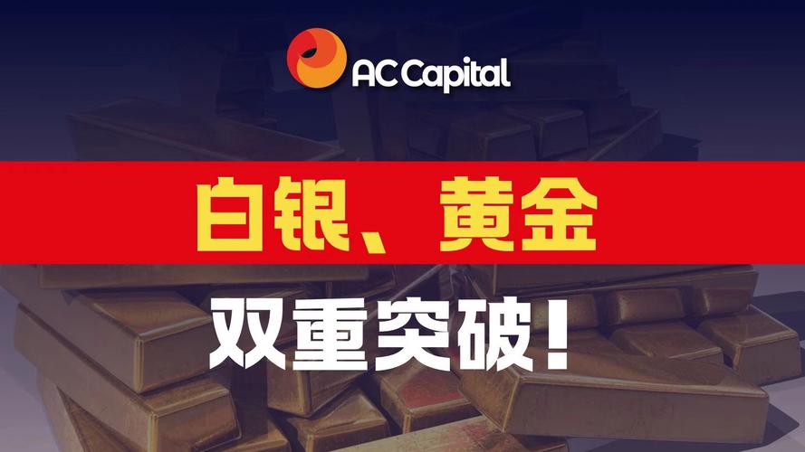 黄金白银策略截图
