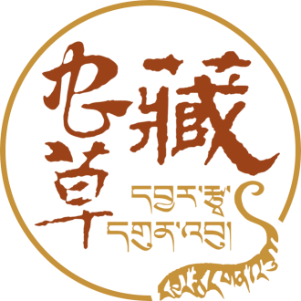 波场虫草