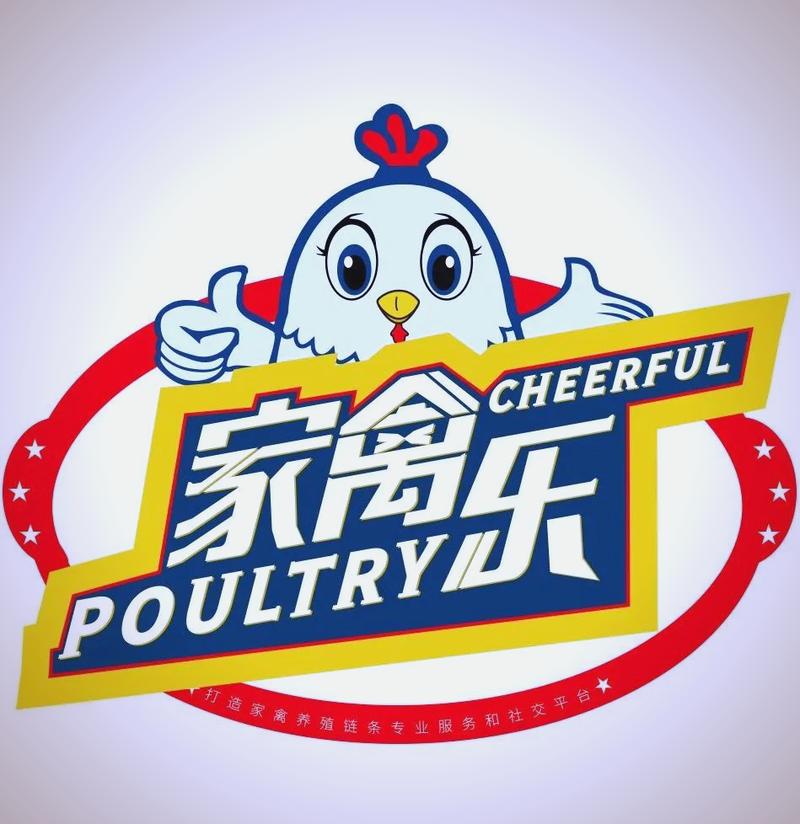 欢乐养小鸡