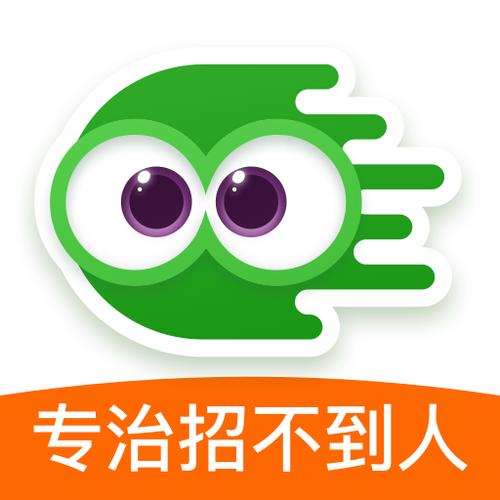 飞蛙聘聘官网版