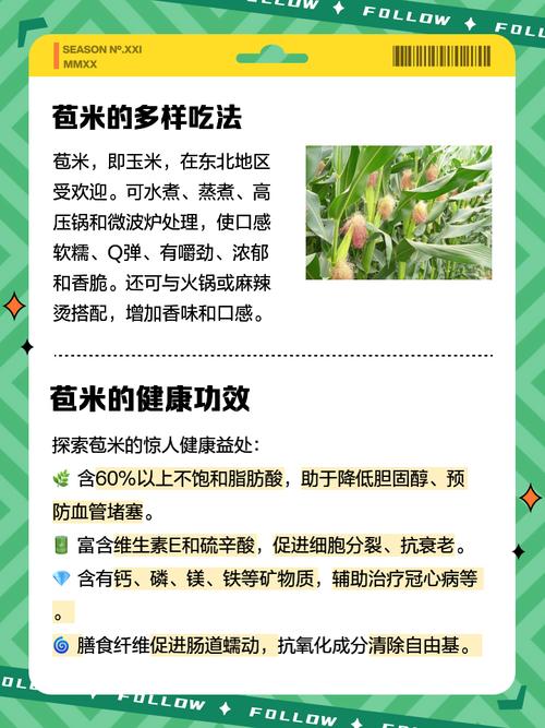 苞米免费小说手机