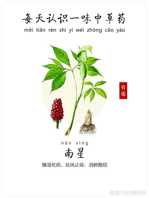 南星阅读小说手机