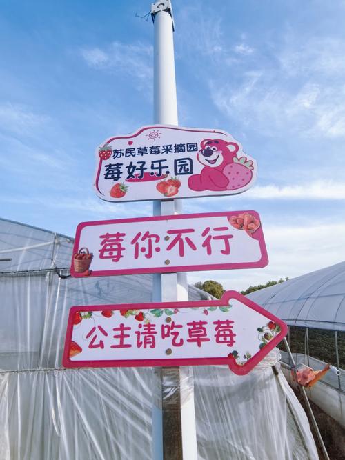 欢乐采摘园手游