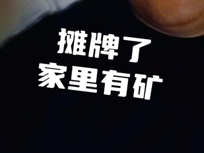 家中有矿赚钱版
