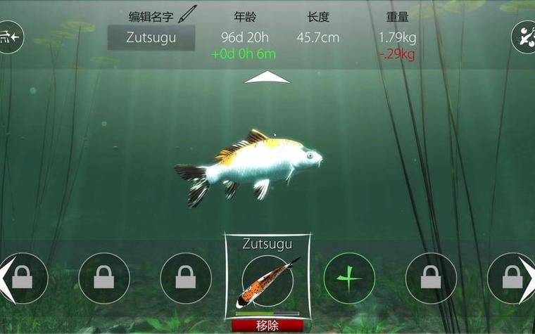 全民养锦鲤游戏官