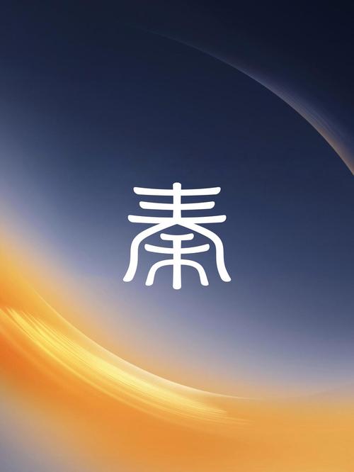 秦经司机
