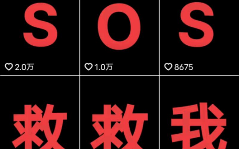 救救女孩2020