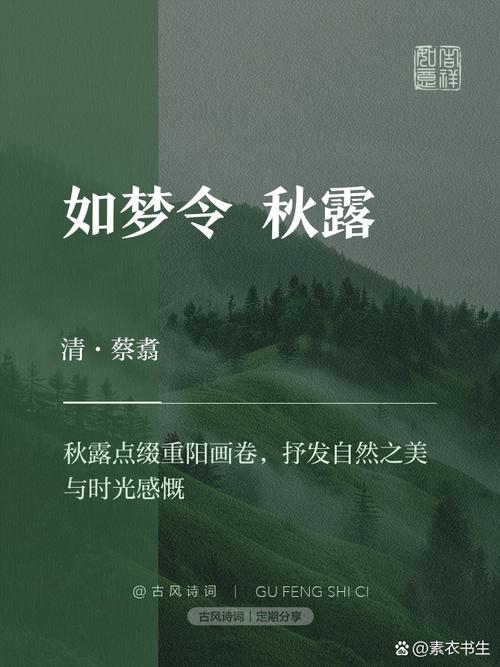 秋露小说官网手机