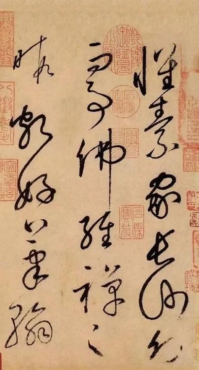 怀素小说手机版