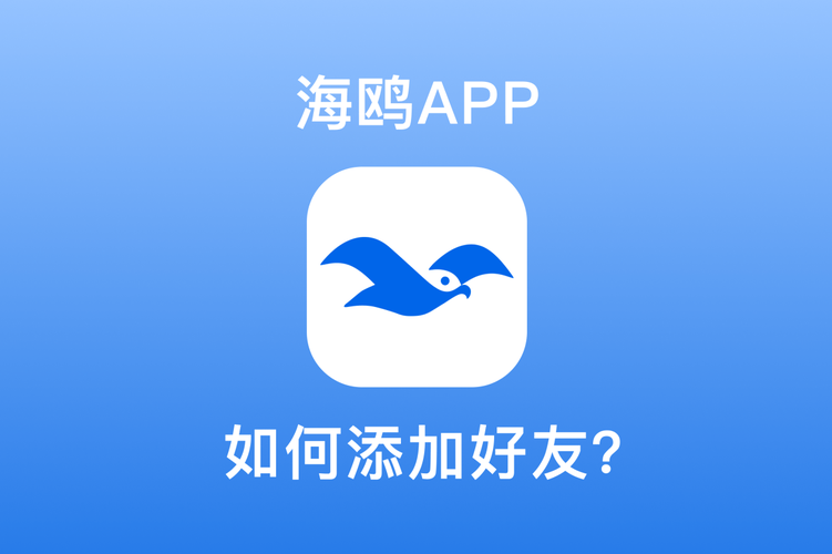 海鸥快讯赚钱平台