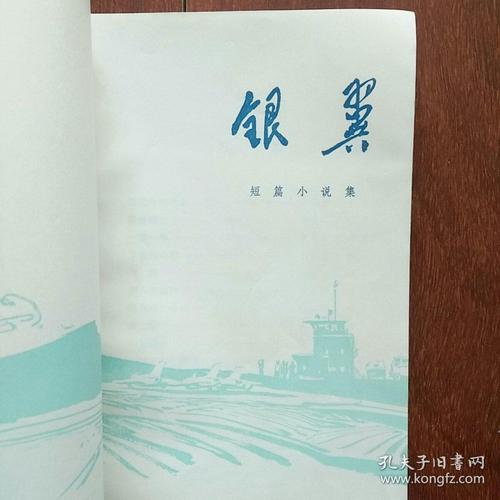 银翼小说正版安装