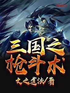 枪斗小说