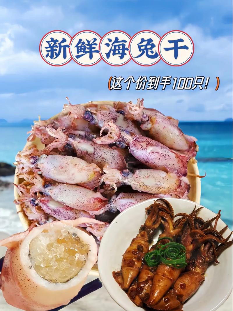 海兔热点手机版