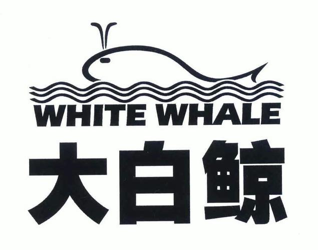 大白鲸网