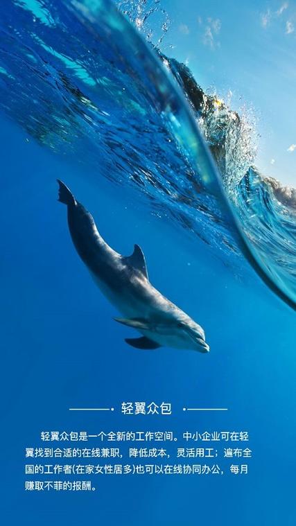 轻翼众包手机版
