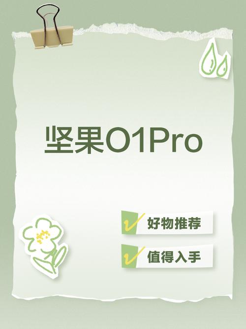坚果试玩手机版