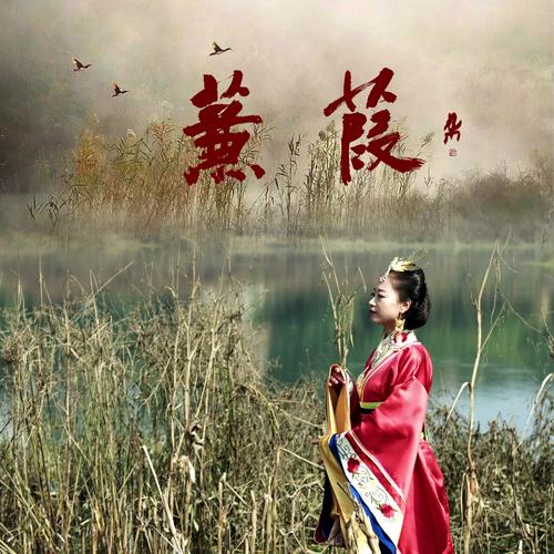 黛妃蒹葭漂流地书