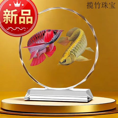 双龙鱼赚钱