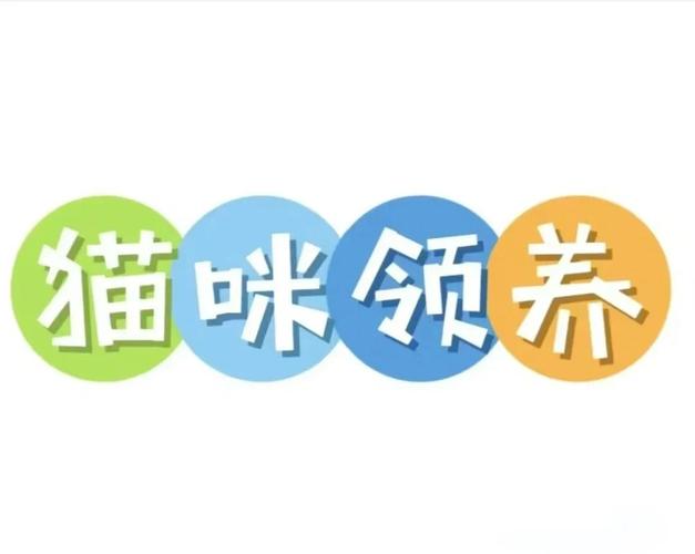 养只小猫咪养猫赚