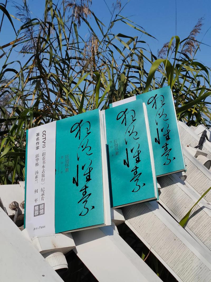 怀素小说免费版