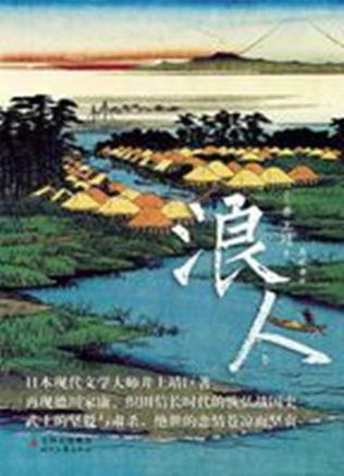 浪人小说免费版