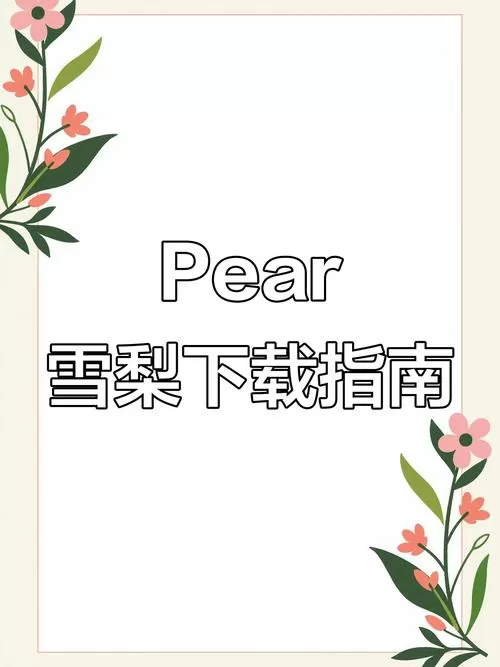 雪梨软件pear干什么用的