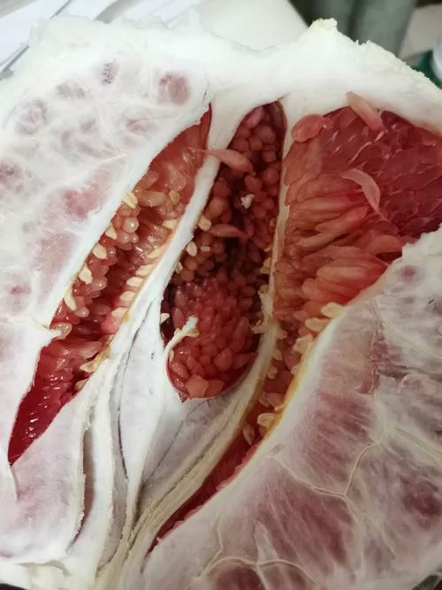红心柚子怎么看出坏没坏