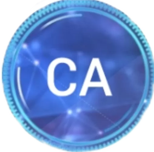 CA炸图辅助正版