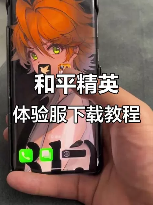 和平精英免费开启平板视角的软件下载旧版苹果