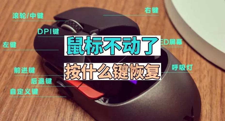 电脑鼠标失灵了怎么恢复