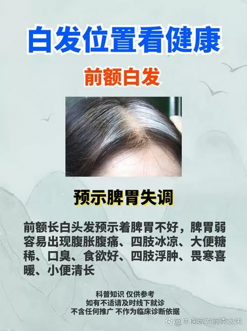 白头发与气血不足有关系吗