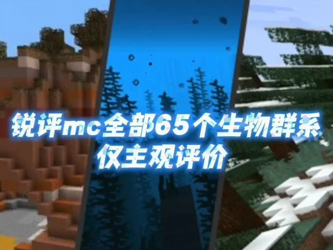 mc所有生物群系