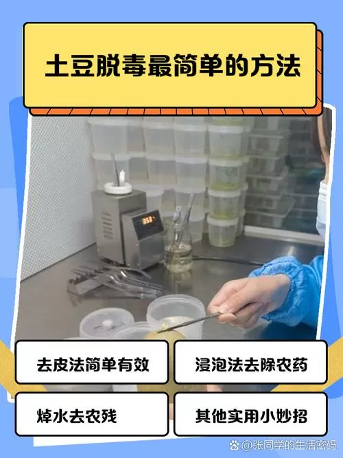 自己怎样给土豆脱毒