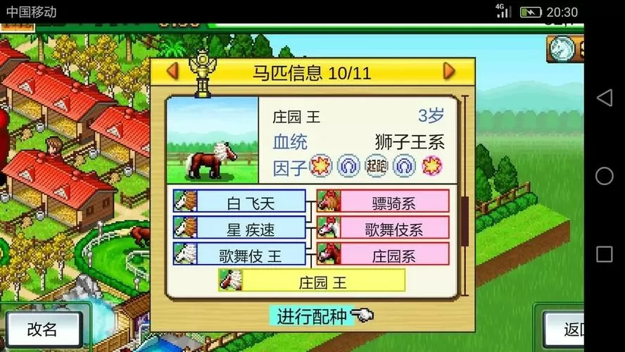 赛马牧场物语内置修改器版本