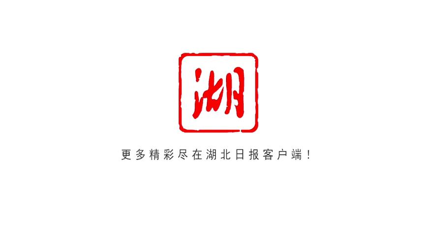 黄石日报电子版最新版