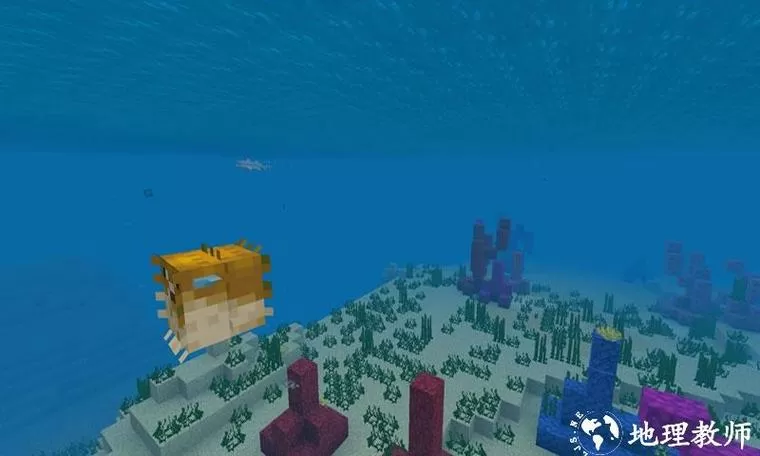我的世界海洋版下载1.13正式版