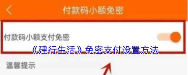 建行小额免密支付在哪里设置