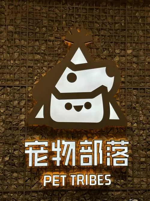 我家有一个懒惰的狗该怎么回事