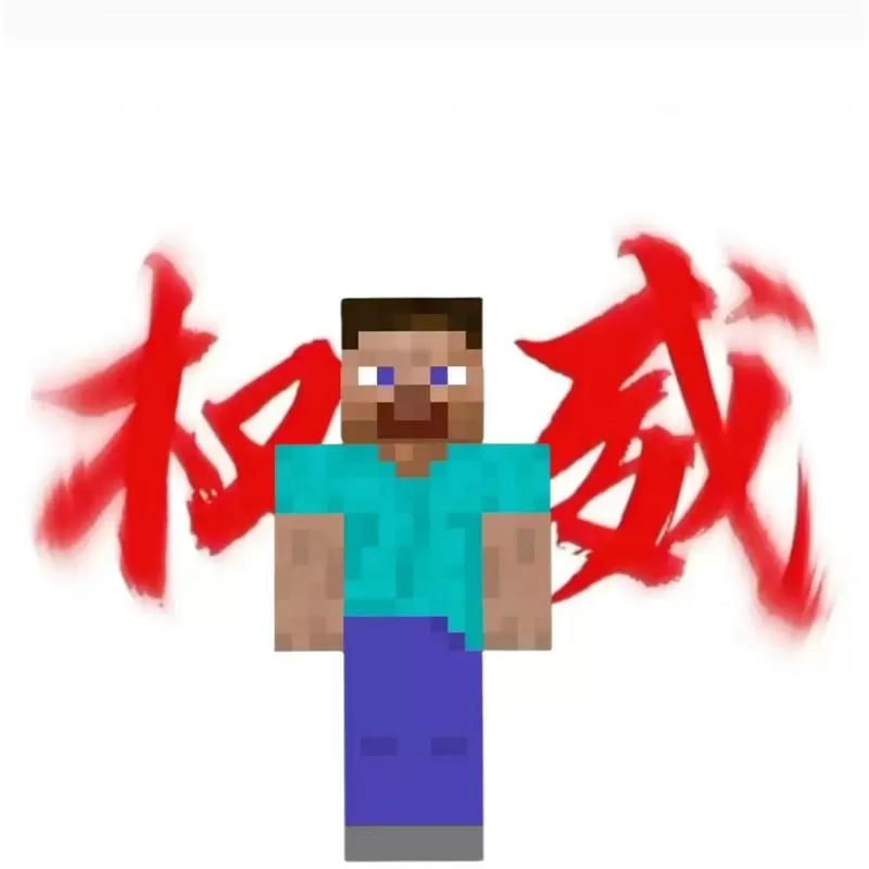 我的世界史蒂夫与him的战斗视频