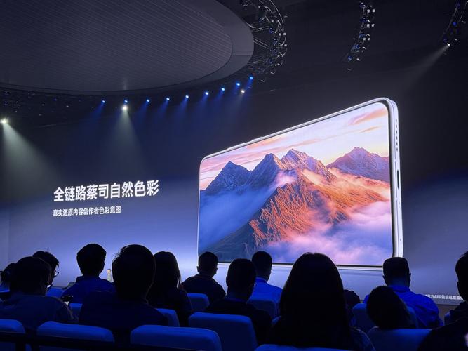 vivo屏幕色彩模式哪个好